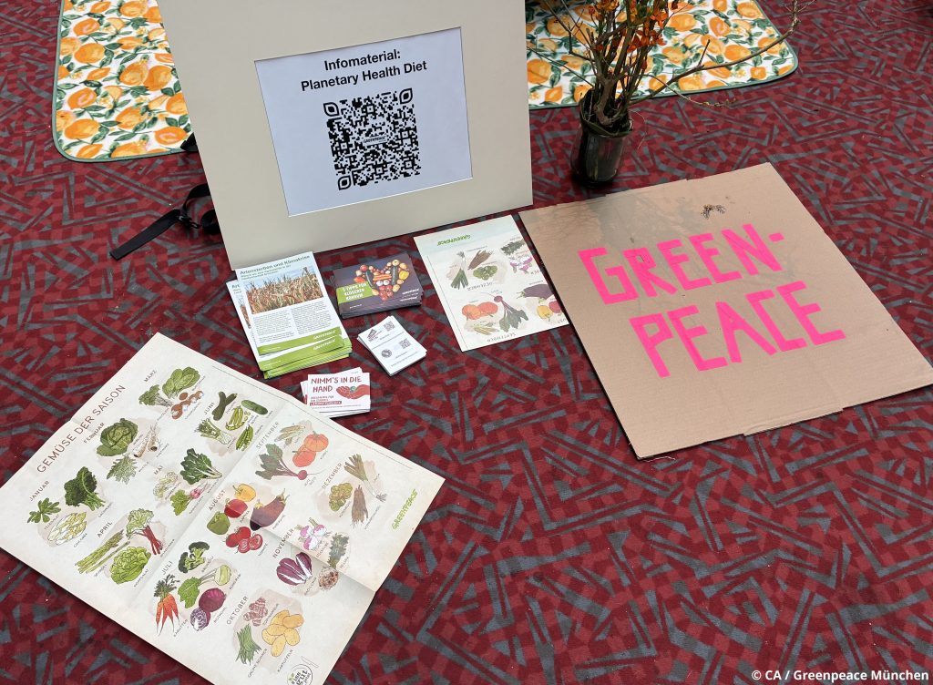 Picknick-Ecke von Greenpeace München beim veganen Brunch im Fat Cat