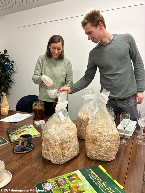 Mareike holt den Kombucha aus dem Glas um ihn uns zu zeigen. Vor ihr die unterschiedlichen Stadien der Austernpilze