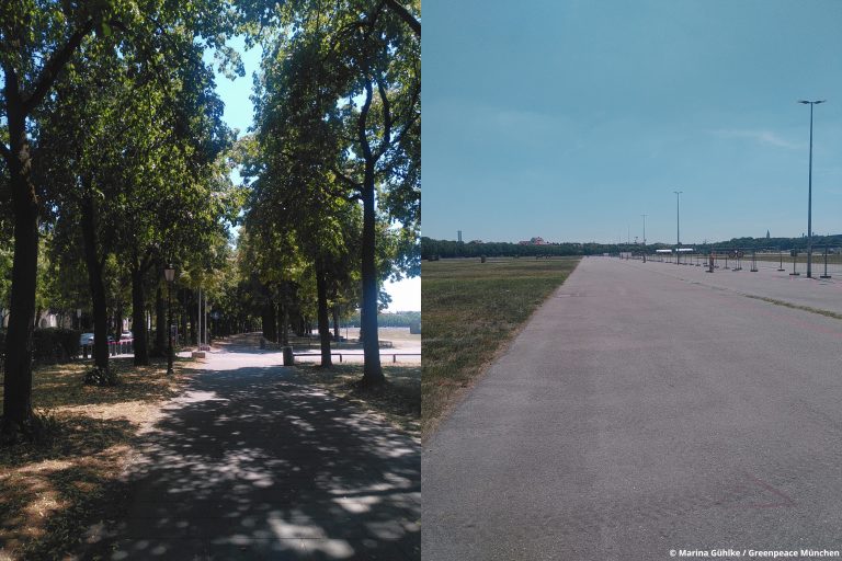 Schatten unter den Bäumen am Bavariaring und Hitze in der Sonne auf der Theresienwiese