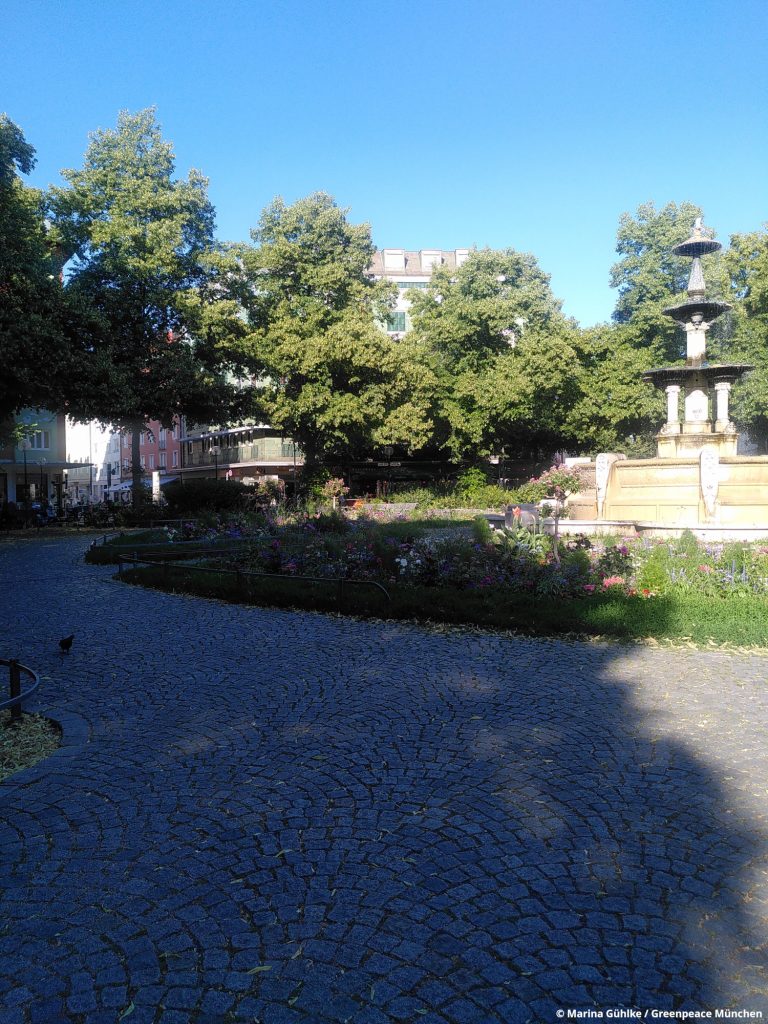 Weißenburger Platz im Schatten unter Bäumen