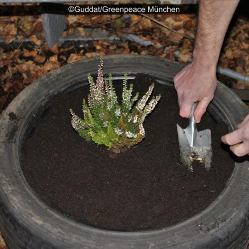 4. Dann Kompost gefolgt von Erde. Nun könnt ihr mit dem Bepflanzen anfangen.
